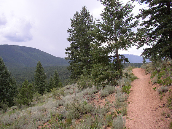 Colorado Trail @ Buffalo Creek