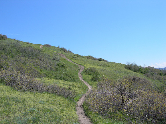 Hayden Green Mountain Park