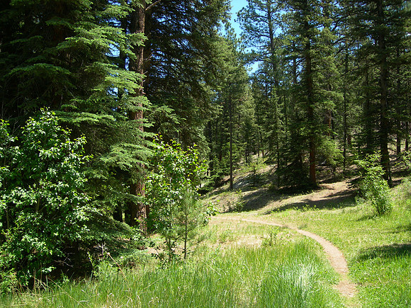 Colorado Trail @ Buffalo Creek