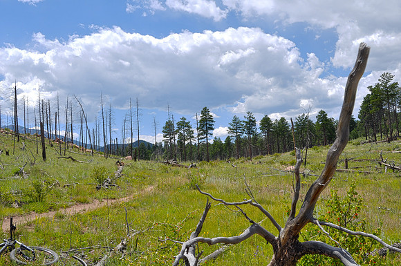Buffalo_Creek-20090723-0165HDR-1