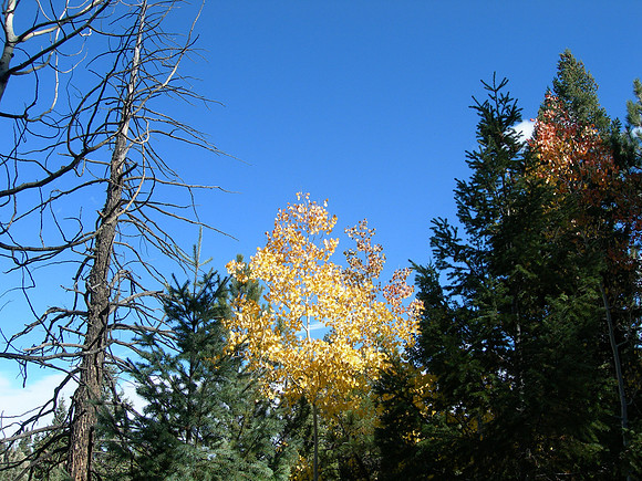 Buffalo Creek Recreation Area