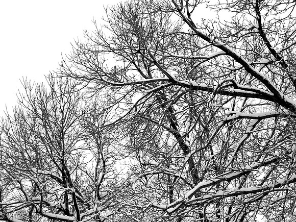 December 2006 Blizzard