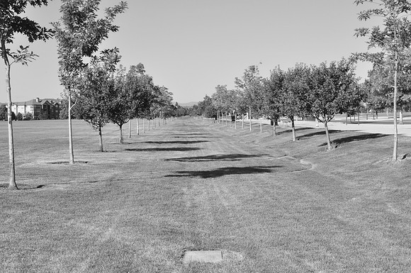 A Neighborhood Park in Lowry